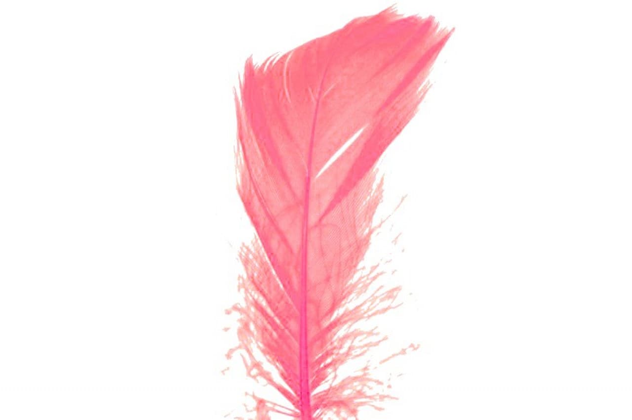 Piórka w torebce foliowej 15 gram, różowe