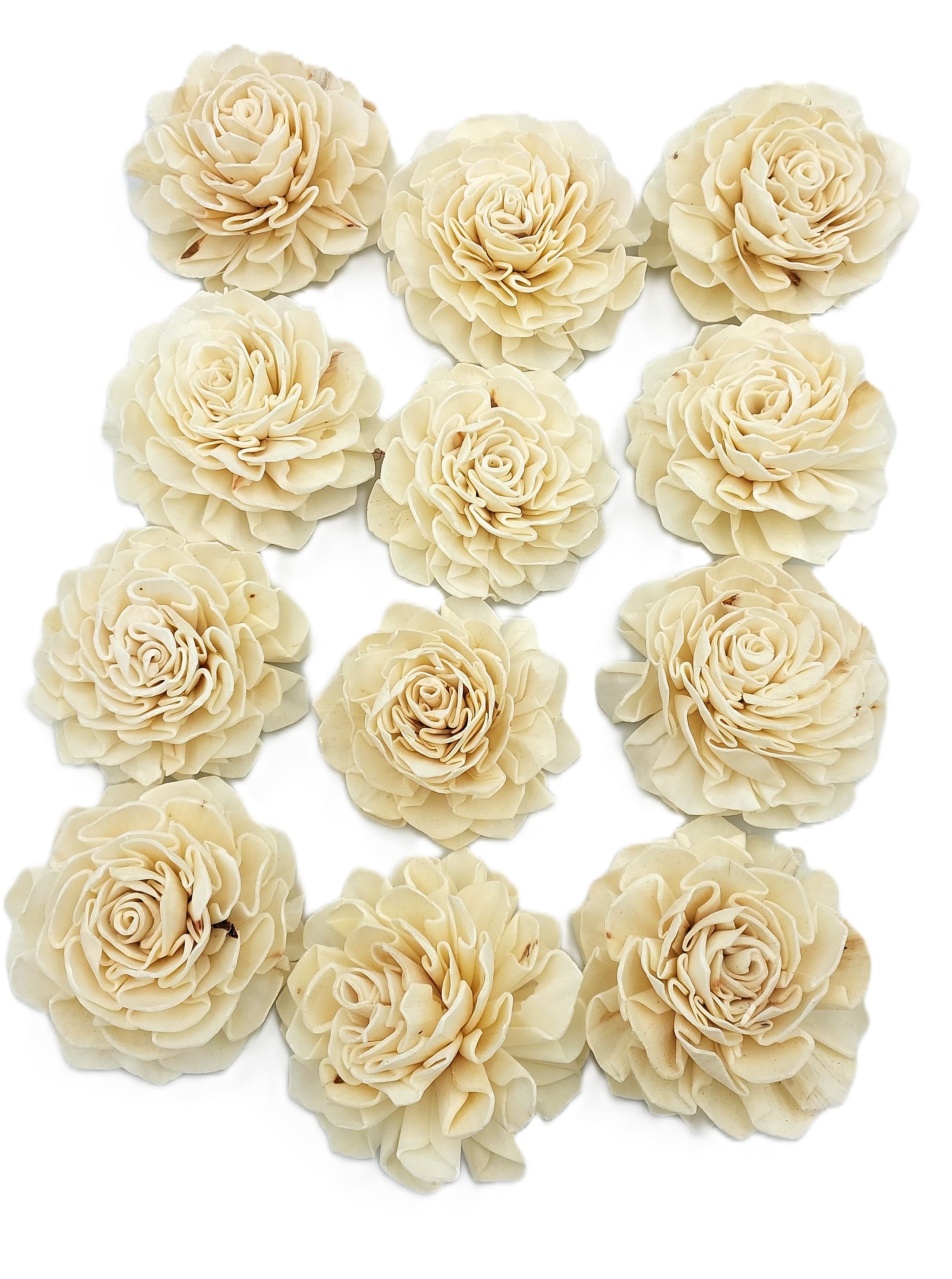 Shola główki Róża - Dalia duża 8 cm - 12 sztuk