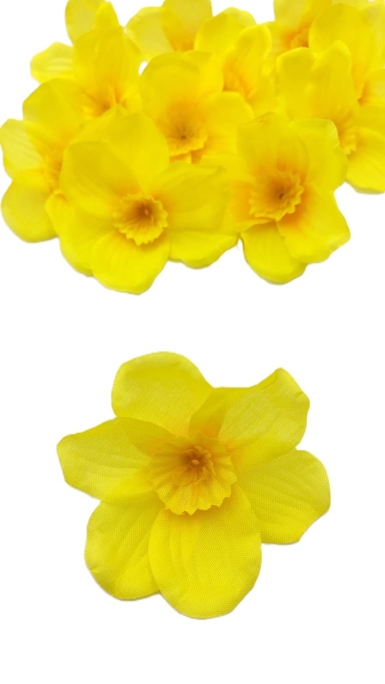 Małe główki Żonkili cieniowane op. 12 szt. 6 cm
