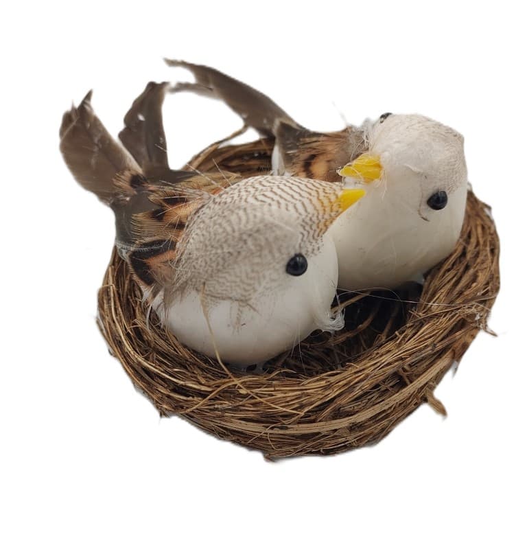 Ptaki naturalne beżowe średnie w gniazdku nr 02
