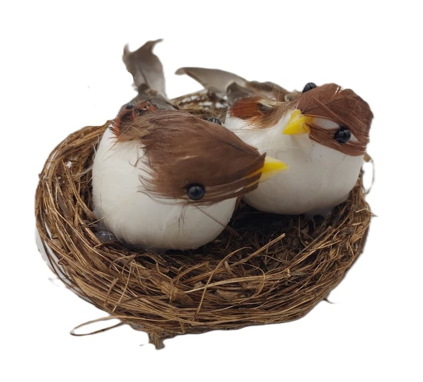 Ptaki naturalne brązowe średnie w gniazdku nr 03