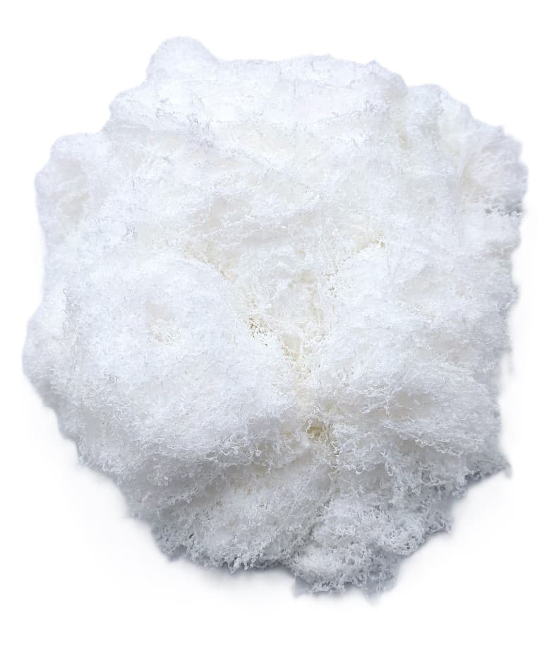 Sztuczny mech,wypełniacz, 100g, biały