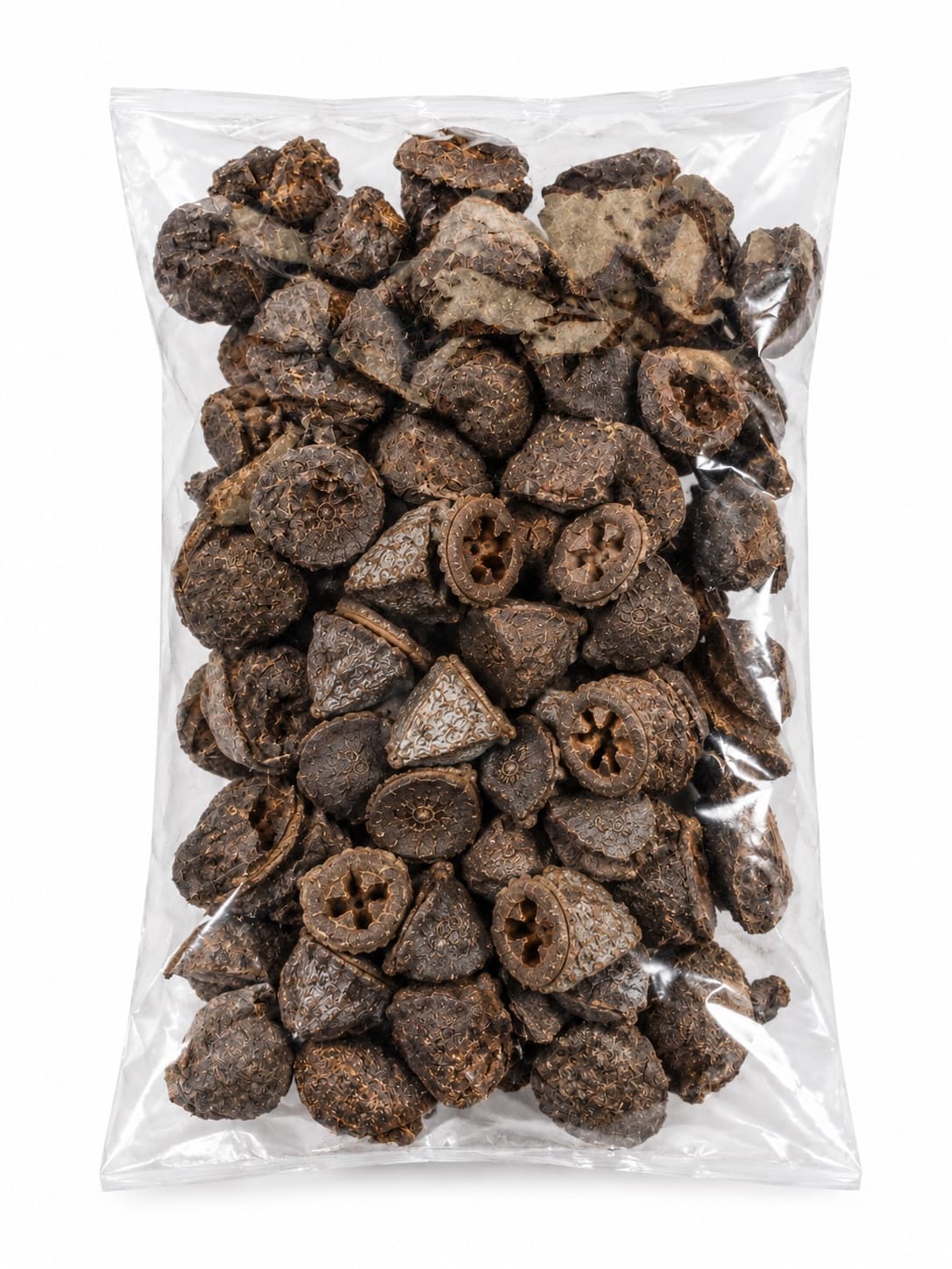 Eukaliptus suszony 100g torebki nasienne dekoracja